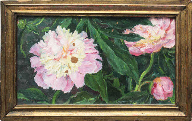 Кугач Юрий Петрович. Пионы 